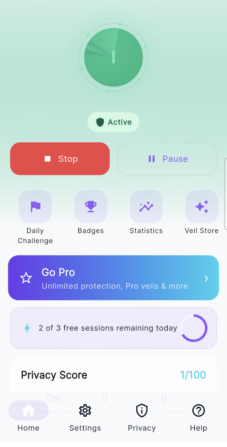 Privacy Display AI protection active screen